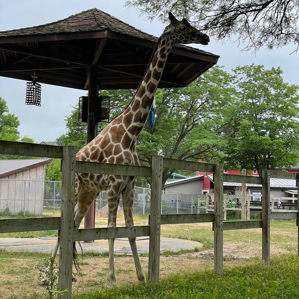 Photo taken at Henry Vilas Zoo by Bob L. on 6/25/2021