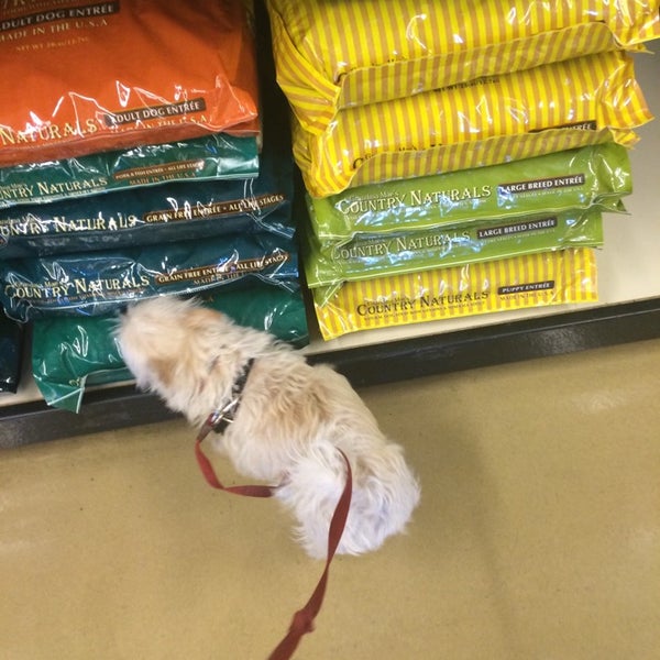 Choice Pet Market 7 tips