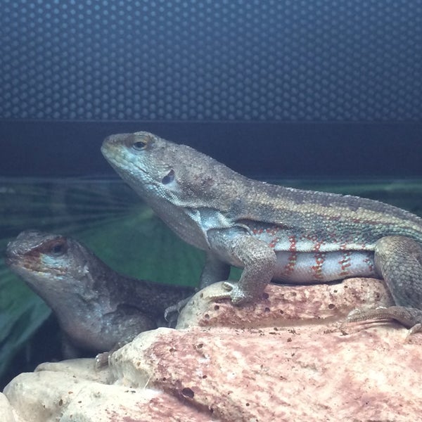 PetSmart Pet Supplies Store in Winnipeg