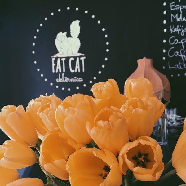 4/4/2017にKrista K.がFAT CAT eklērnīcaで撮った写真