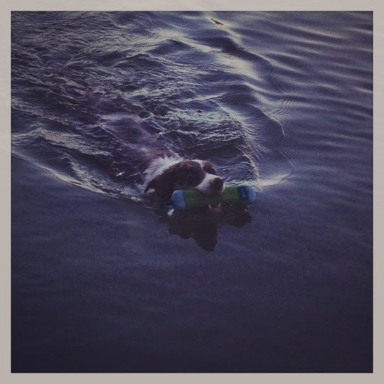 Bear Lake County Park