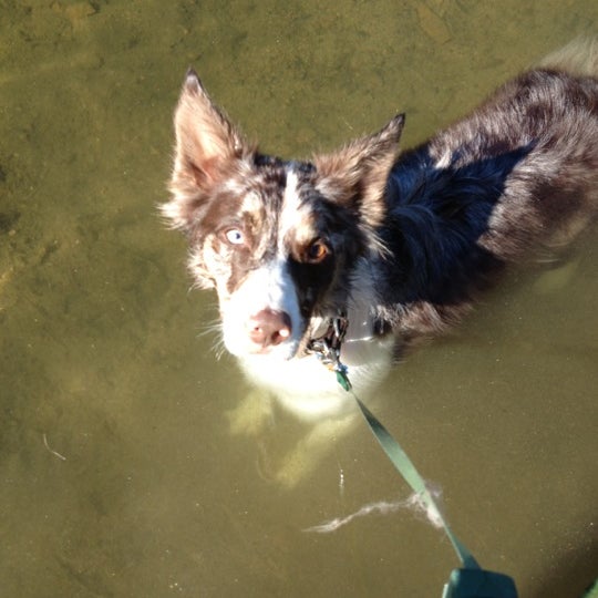 Bear Lake County Park