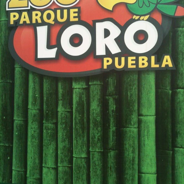 Photo taken at Zoo Parque Loro by Iván F. on 1/20/2013