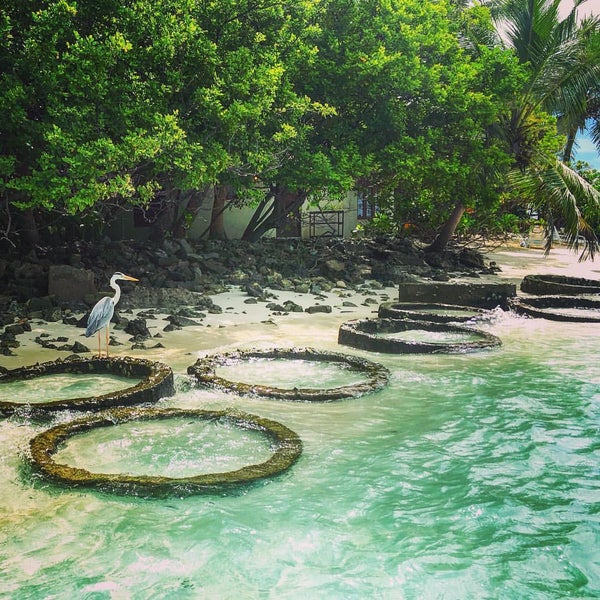 Biyadhoo Island Resort 3 Занзибар