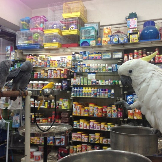 Pet planet top stores near me
