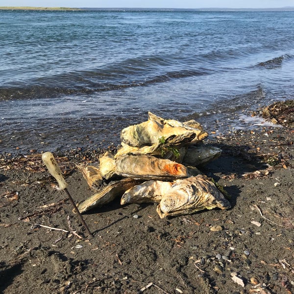 Погода буссе сахалинская область. Озеро буссе на сахалине шатры. Погода буссе сахалинская область. Погода буссе сахалинская область. Лагуна буссе сахалин.