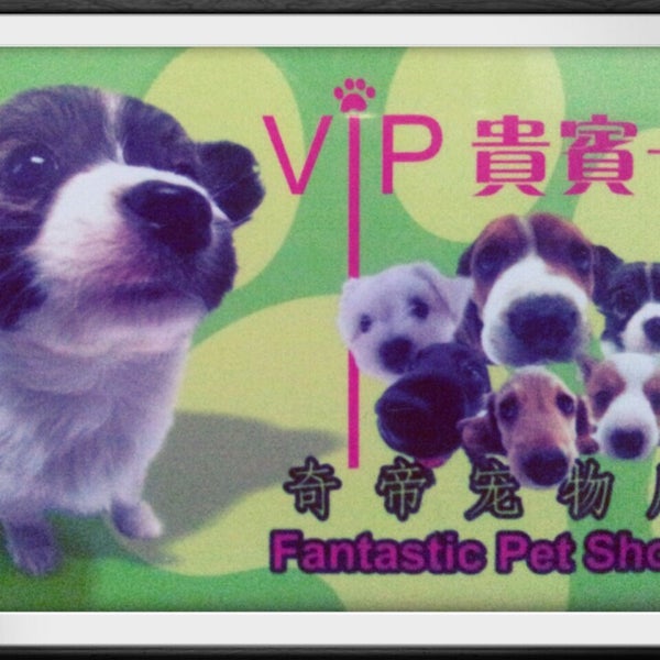 Sg Merah Pet Shop Di Bandar Sibu