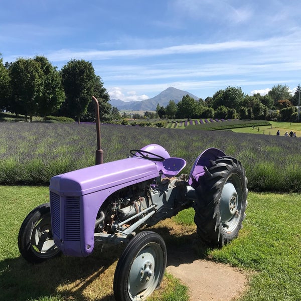 Photo taken at Wanaka Lavender Farm by Laura on 12/26/2018