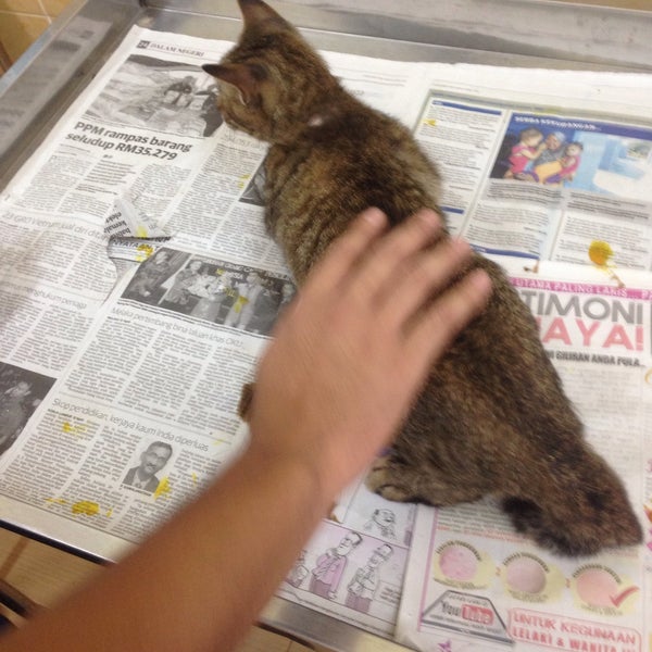 Photos At Klinik Veterinar Segamat Veterinarian
