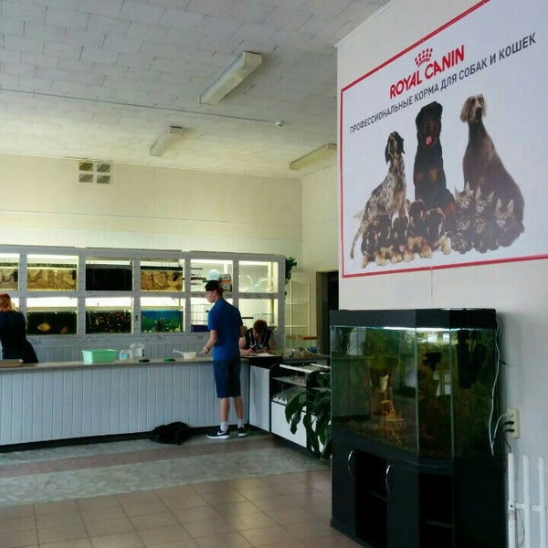 Рынок золотая рыбка уфа. Золотая рыбка ижевск. Золотая рыбка зоомагазин. Золотая рыбка, мурманск. Золотая рыбка могилев.