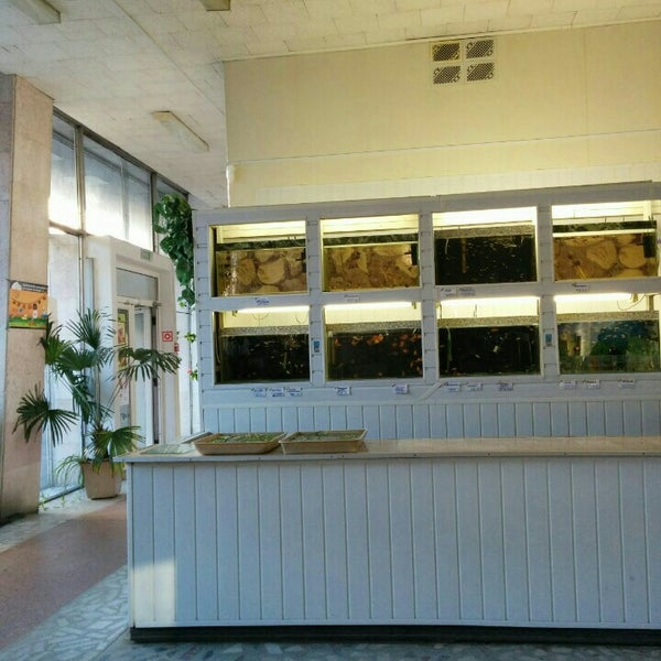 Золотая рыбка озерск. Зоомагазин рыбки. Золотая рыбка ижевск фото. Золотая рыбка зоомагазин спб. Ресторан золотая рыбка донецк.