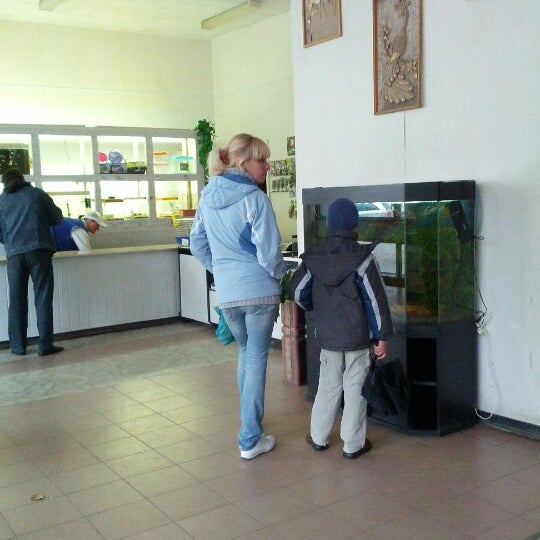 Золотая рыбка могилев. Золотая рыбка ижевск. Золотая рыбка зоомагазин ижевск. Золотая рыбка зоомагазин ижевск. Золотая рыбка могилев.