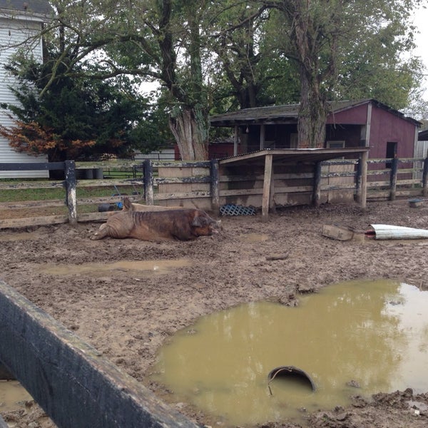 Sunny Acres Farm East Louisville 1 tip