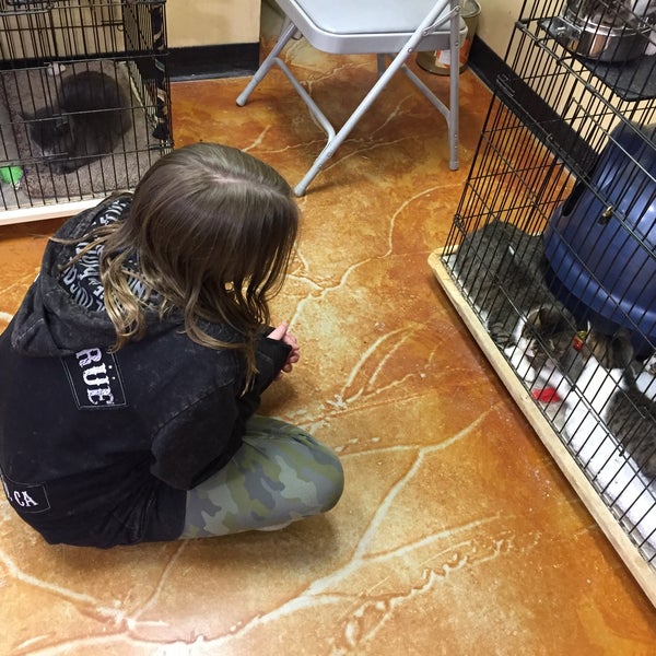 Feeders Supply Pet Store In The Highlands