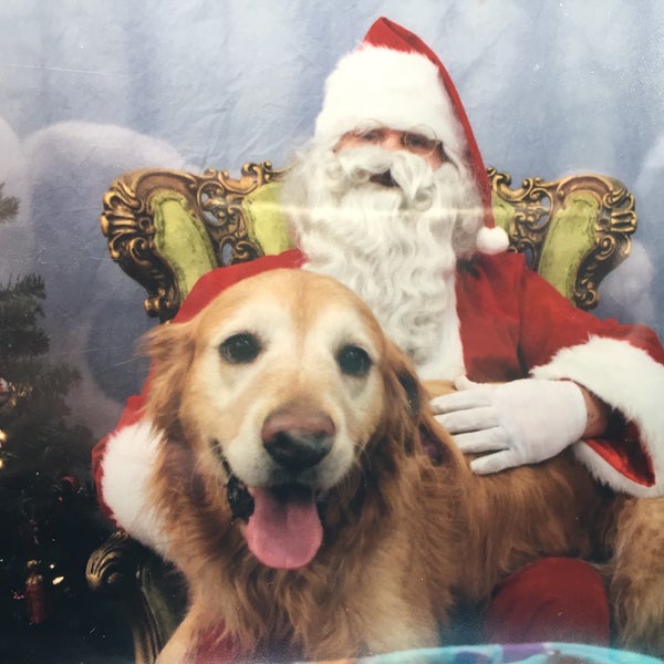 Photos At Feeders Supply Pet Store In The Highlands
