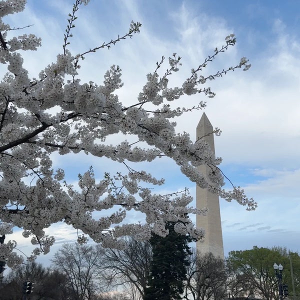 Photo taken at National Mall by S on 3/27/2024