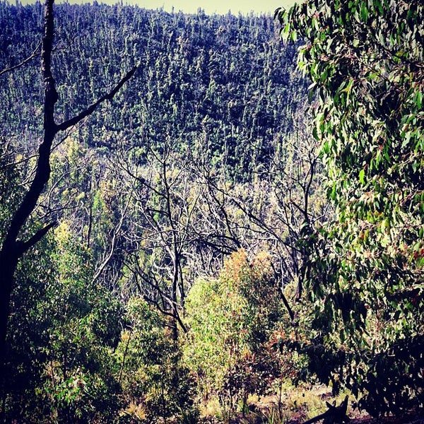 Kinglake National Park Kinglake VIC