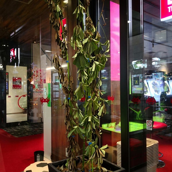 タイトーステーション 溝の口2号店 閉業 川崎市のゲームセンター タイトーステーション 溝の口2号店 閉業 川崎市のゲームセンター