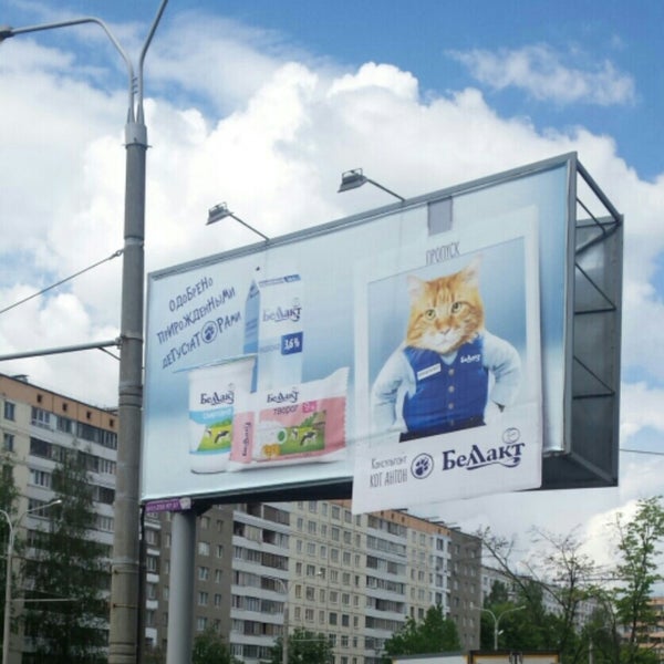 Московский проспект пушкина. Московский проспект пушкина