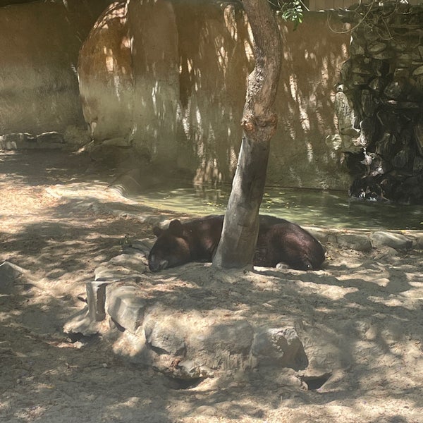 Photo taken at Los Angeles Zoo &amp; Botanical Gardens by Jenny T. on 8/28/2022