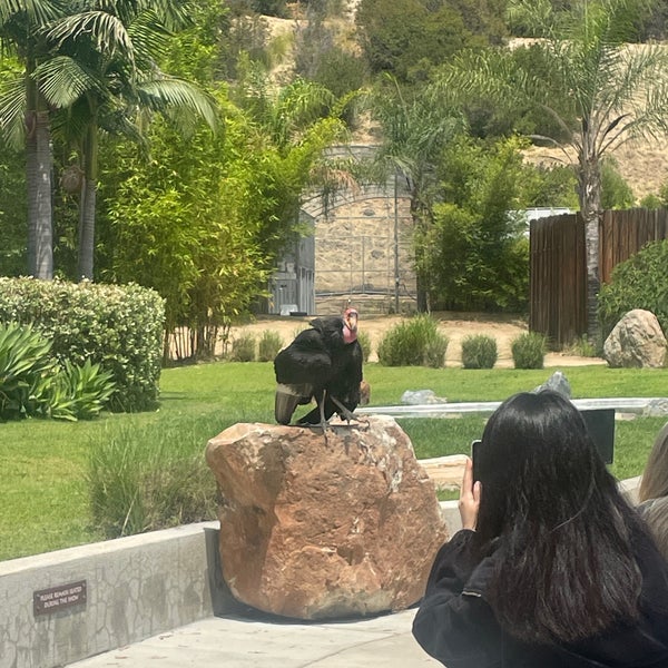 8/11/2023 tarihinde Jenny T.ziyaretçi tarafından Los Angeles Zoo &amp; Botanical Gardens'de çekilen fotoğraf