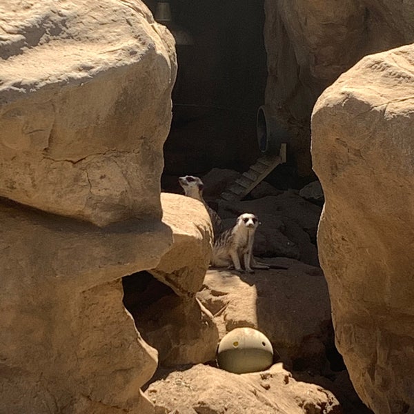 8/6/2022 tarihinde Jenny T.ziyaretçi tarafından Los Angeles Zoo &amp; Botanical Gardens'de çekilen fotoğraf
