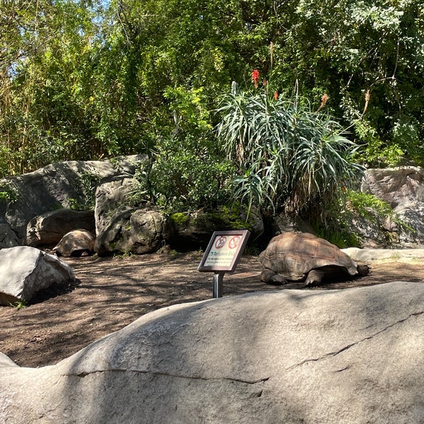 3/18/2023 tarihinde Jenny T.ziyaretçi tarafından Los Angeles Zoo &amp; Botanical Gardens'de çekilen fotoğraf