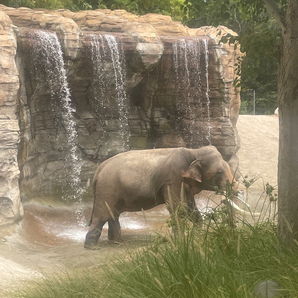 Photo taken at Los Angeles Zoo &amp; Botanical Gardens by Jenny T. on 7/29/2023
