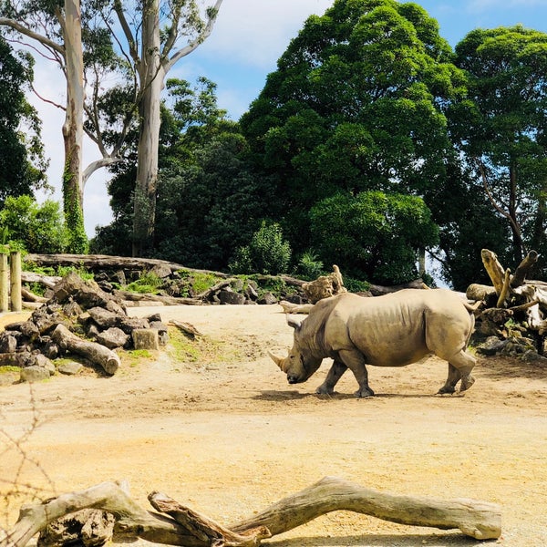 รูปภาพถ่ายที่ Auckland Zoo โดย Greg D. เมื่อ 2/21/2018