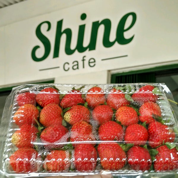 Shine cafe. Логотип toys r us. Shine cafe. Toys r us logo close. Victoriei cafe румыния.