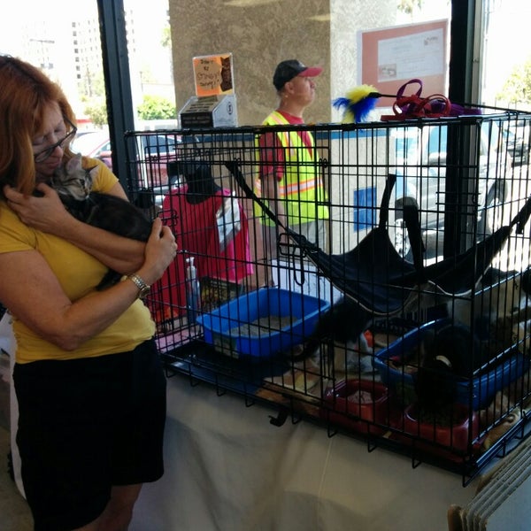 Red Barn Feed Saddlery Pet Store In North Hollywood