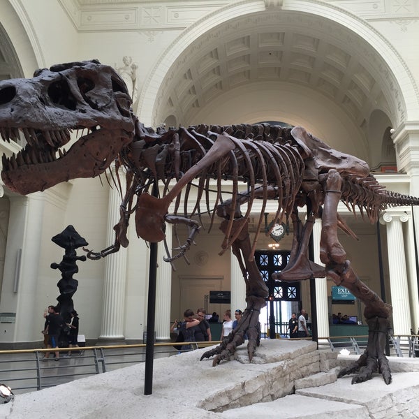 Photo taken at The Field Museum by Daria K. on 6/1/2016