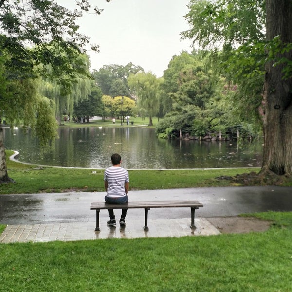 Good Will Hunting Bench General Entertainment in Beacon Hill