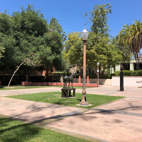 UCLA Rolfe Hall Westwood 5 tips