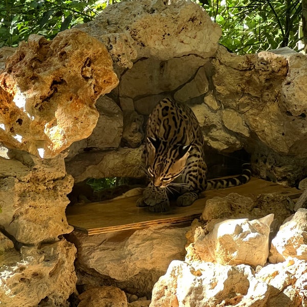 Foto tirada no(a) Crococun Zoo por Davo em 1/22/2023