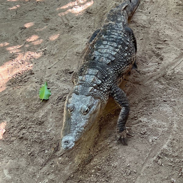 Photo taken at Crococun Zoo by Davo on 1/22/2023