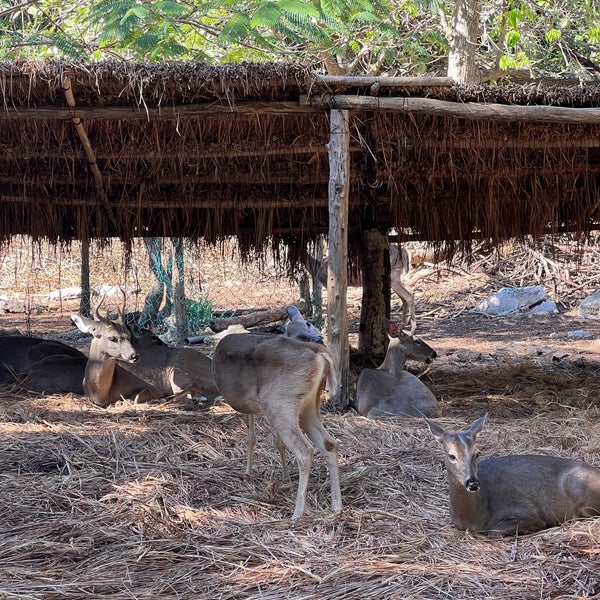 Photo taken at Crococun Zoo by Davo on 1/22/2023