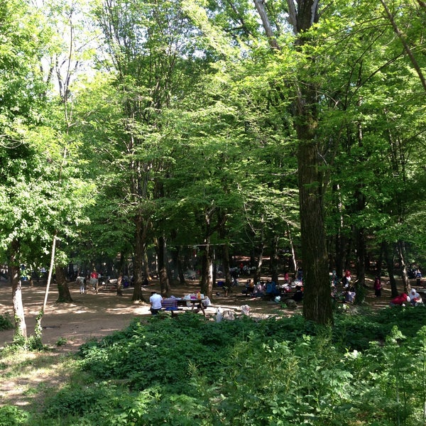 Photo taken at Belgrad Forest by Tarkan A. on 5/4/2013