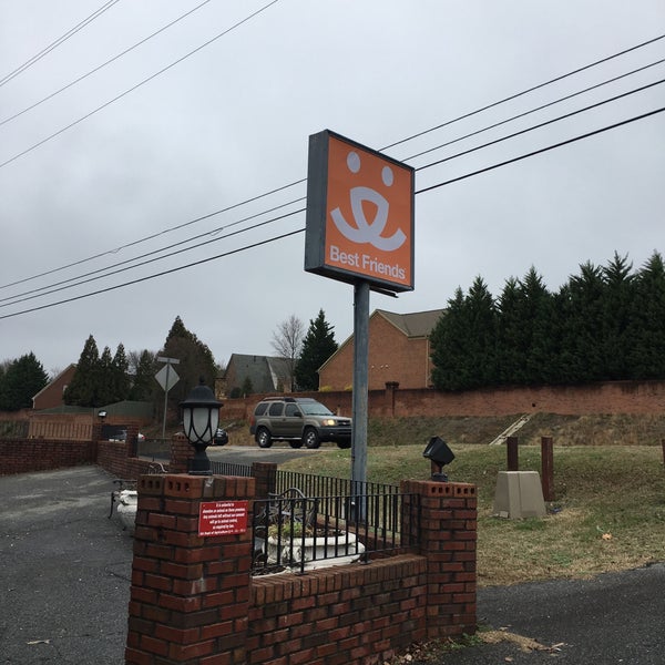 Best Friends Pet Adoption Center Animal Shelter in Atlanta