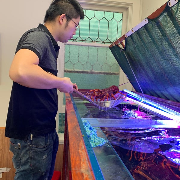 The Blue Bird Cafe Fish and Chips Shop in Apollo Bay