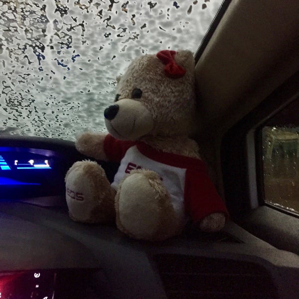 teddy bear car wash