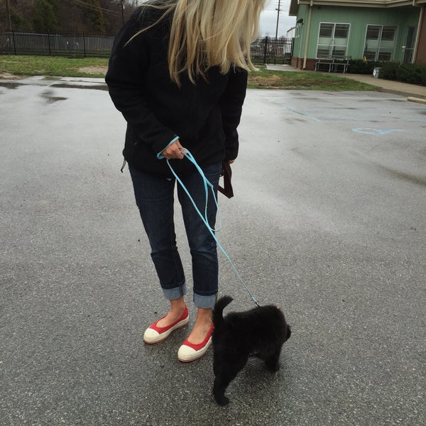 Animal House 3516 Newburg Road