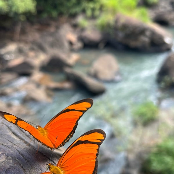 Foto scattata a Parque Nacional Iguazú da Facundo S. il 3/30/2024