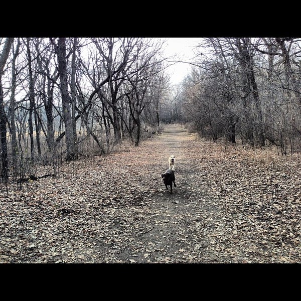 Woodbury Dog Park 11664 Dale Rd