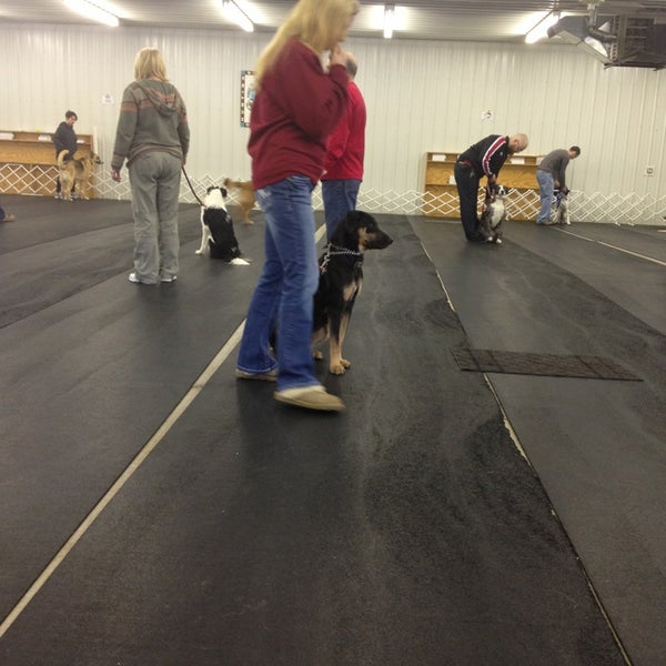 First Place Dog Training 15 visitors