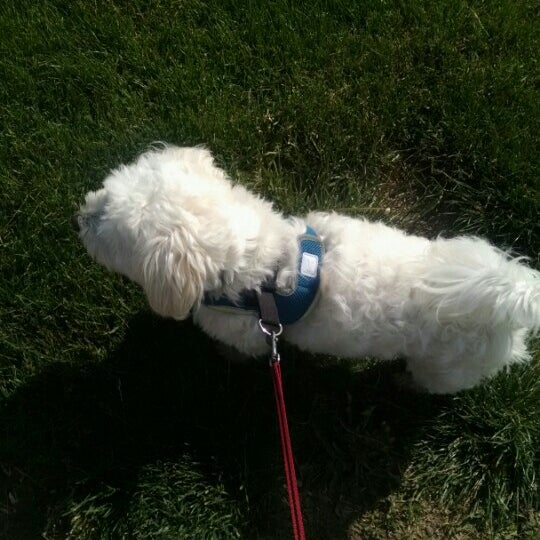 Walker Johnston Softball Fields Urbandale, IA
