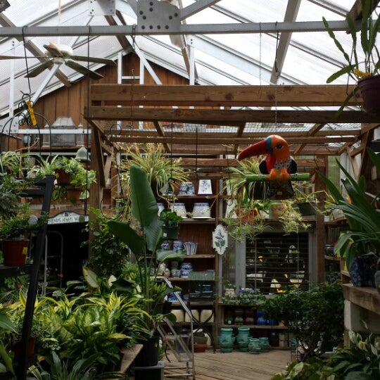 Betty's azalea ranch Flower Store