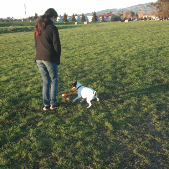 rocky memorial dog park