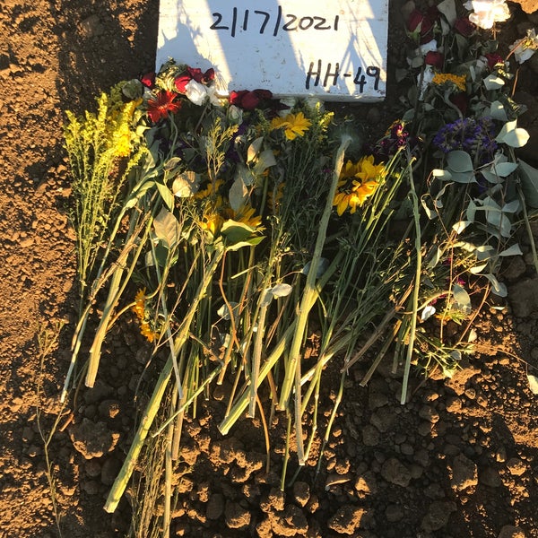 Five Pillars Muslim Cemetary Cemetery in Livermore