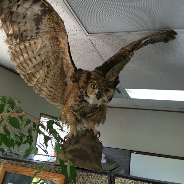 Wildlife Center of Silicon Valley Animal Shelter in San Jose